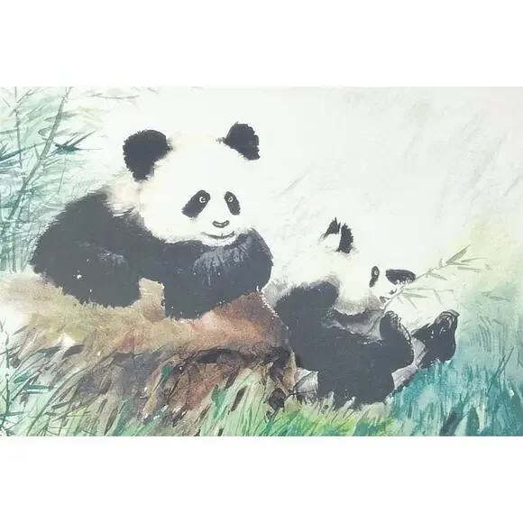Dong Liang Yuan Set of 4 Framed & Matted Small Signed “Panda” Prints 10”X8”